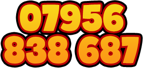 07956 838 687